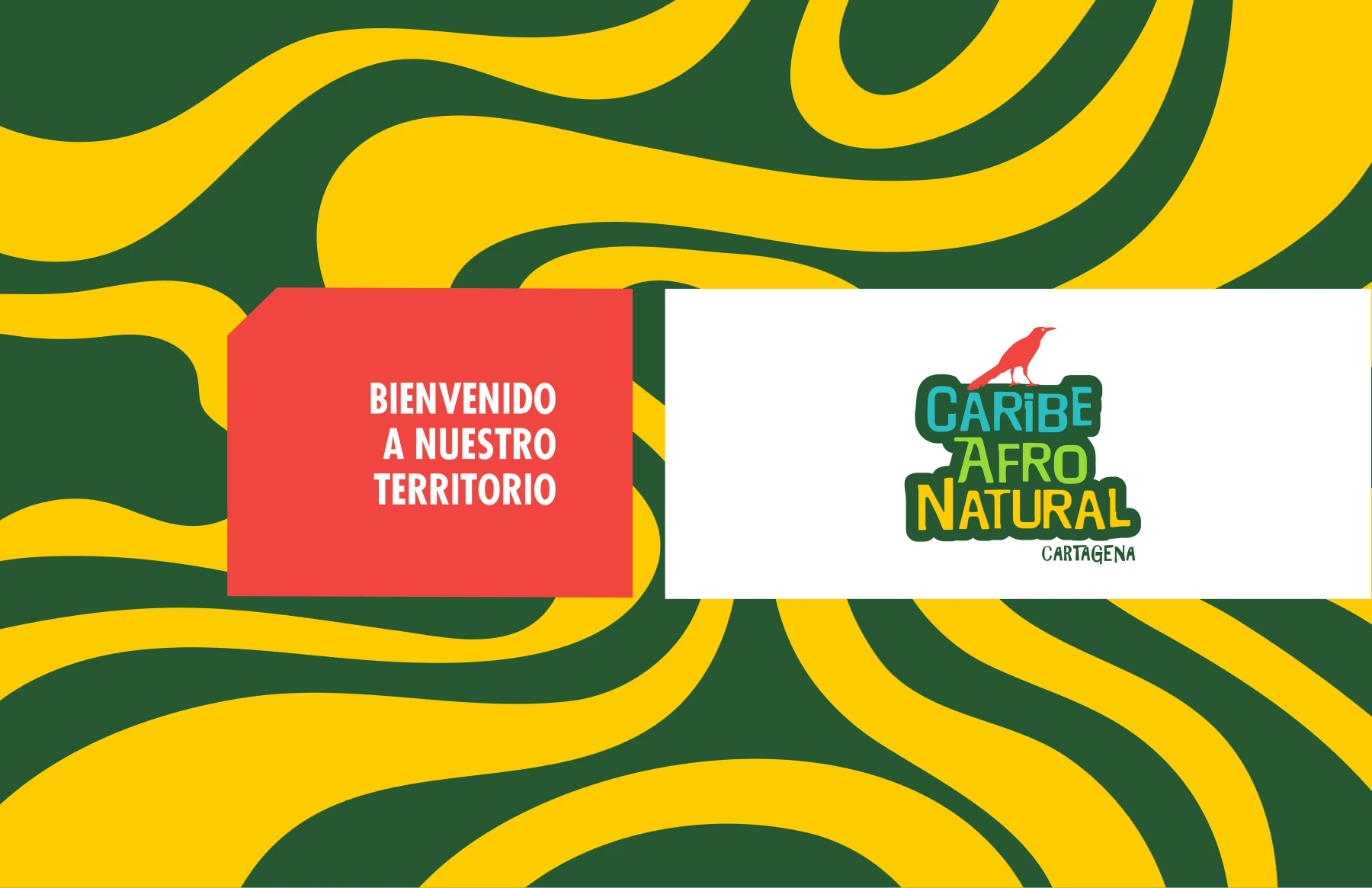 Territorio de marca — Caribe Afro Natural Cartagena