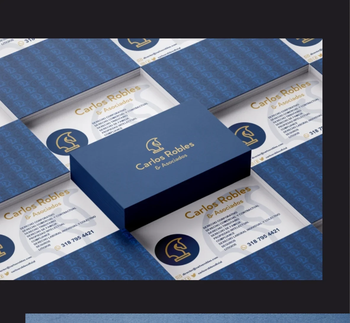 Carlos Robles & Asociados — selección del proyecto